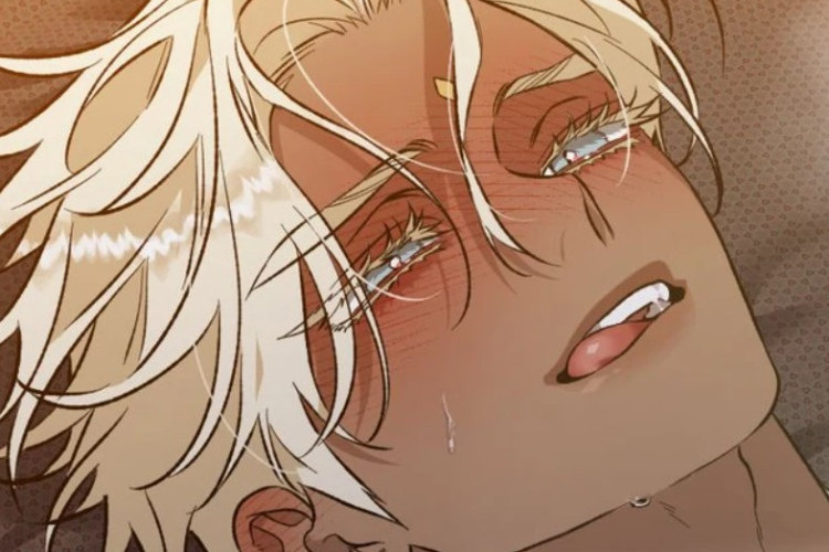 Spoiler RAW! Leer Manhwa BL La Ventura del Caballero Blanco (Blossoms of the White Night) Capítulo 31 en Español, A la Espera de la Segunda Temporada