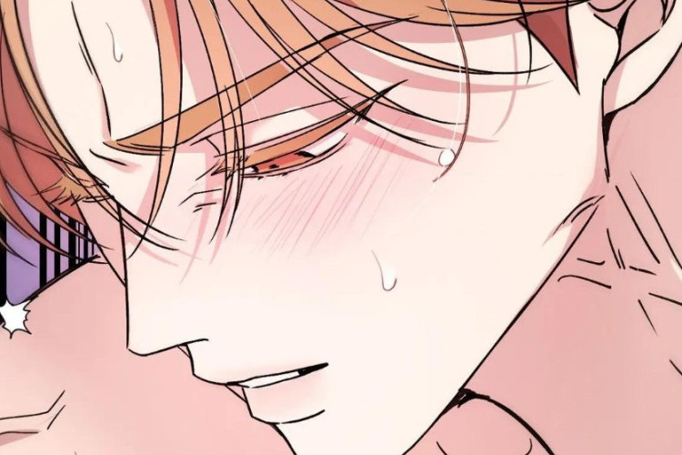 Manhwa BL Una noche de bendición (A Blessed Night) Capítulo 15 en Español: Spoiler, Fecha de Publicación & Enlace para Leerlo