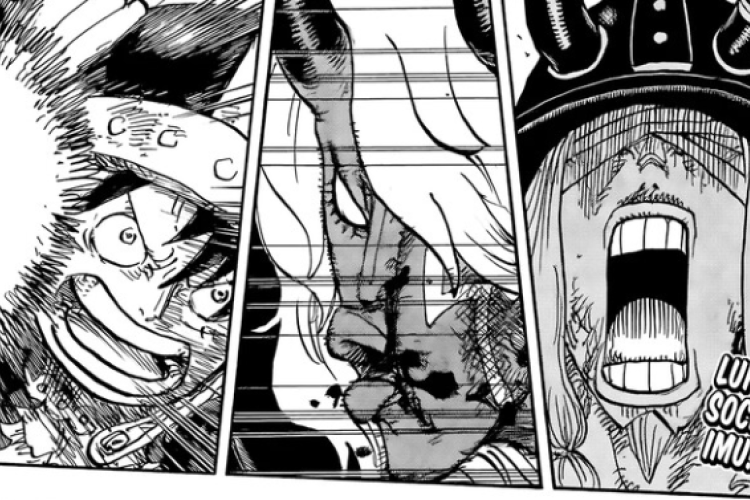 Explicación de la Teoría One Piece Capitulo 1191 en Español, Que Los Consideran Criminales