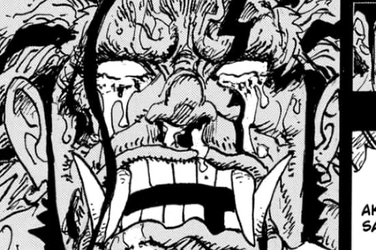 Leer Manga One Piece Capítulo 1166 en Español Scan, Sufrimiento sin fin