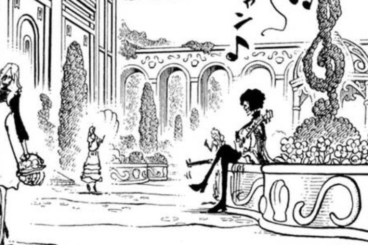 Leer Manga One Piece Capítulo 1185 en Español, RAW! Brook Reconoce a Gunko