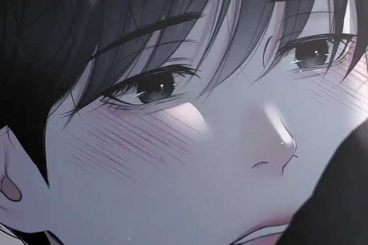 Leer Diamond Dust Capítulo 13 en Español Manhwa BL Scan, emociones y sentimientos relacionados