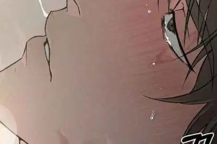 Leer Codename Anastasia Manhwa Capítulo 71 en Español Scan, una oportunidad de oro
