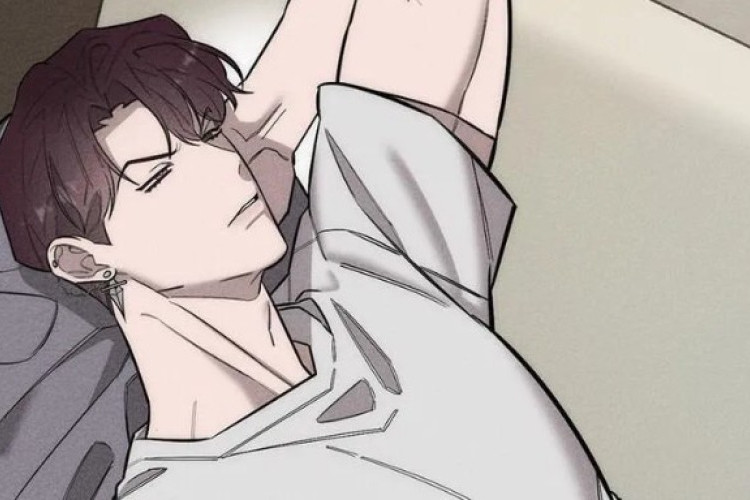 Enlace Para  Lectura BL Manhwa Alphega Capítulo 15 en Español, ¡Preocuparse por los contratos!