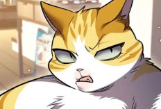 Leer Manhwa Eleceed Capítulo 371 en Español Kayden Aún No Se Ha Dado Cuenta Del Código De Gestella