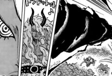 Deben Luchar Contra Otras Poderosas Bandas de Piratas, Resumen de lo más Destacado One Piece Capitulo 1192 en Español