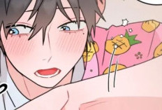 Enlace para Leer el Manhwa Novio de Alquiler Capítulo Completo en Español, Un amor complicado