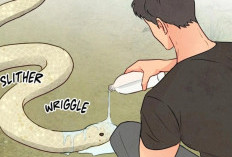 ¡Una reunión pacífica! La seducción de la serpiente sagrada Cap. 1 en Español