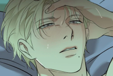 ¡Relación Oficial! Spoiler & Enlace para Leer Manhwa BL Backlight Capítulo 61 en Español