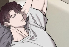 Enlace Para  Lectura BL Manhwa Alphega Capítulo 15 en Español, ¡Preocuparse por los contratos!