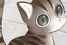 Leer Manhwa ¡Dame un bebé lince, si no quieres verme enloquecer! Capítulo 16 Español Sub RAW, cuando se convierte en un recuerdo